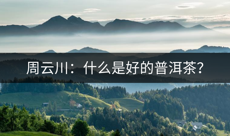 周云川：什么是好的普洱茶？