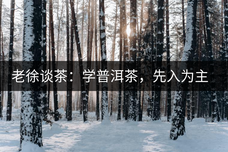 老徐談茶：學(xué)普洱茶，先入為主易被打臉，還得實踐出真知！