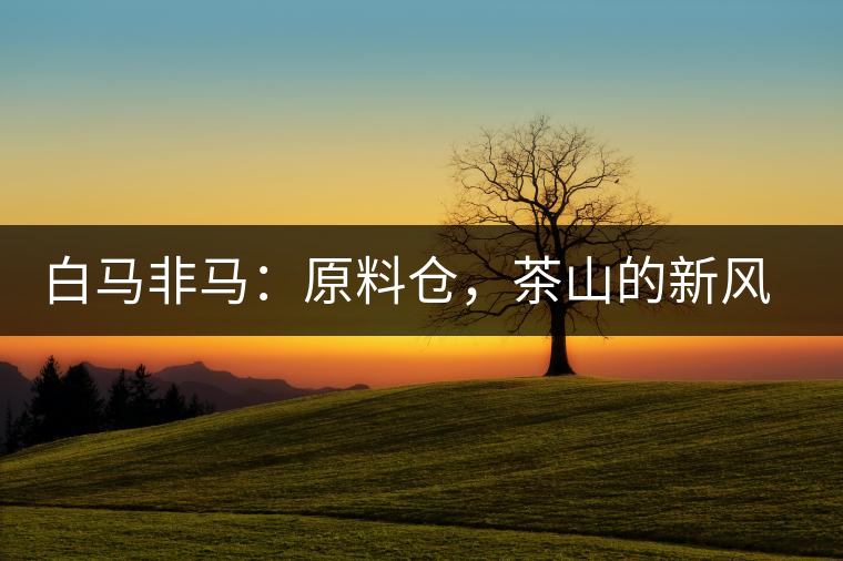 白馬非馬：原料倉(cāng)，茶山的新風(fēng)景