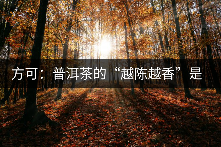 方可：普洱茶的“越陳越香”是有條件、有技術(shù)的