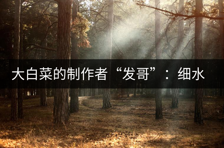 大白菜的制作者“發(fā)哥”：細(xì)水長流，做茶“急不得”