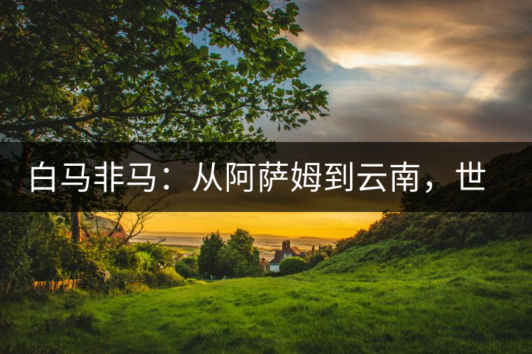 白馬非馬：從阿薩姆到云南，世界茶樹起源爭論的誤區(qū)