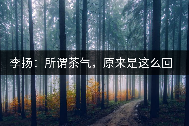 李揚(yáng)：所謂茶氣，原來是這么回事