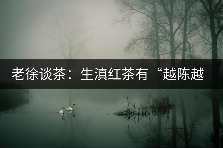 老徐談茶：生滇紅茶有“越陳越香”的特點嗎？
