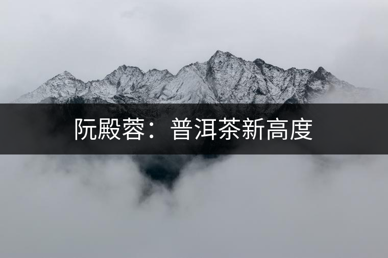 阮殿蓉：普洱茶新高度