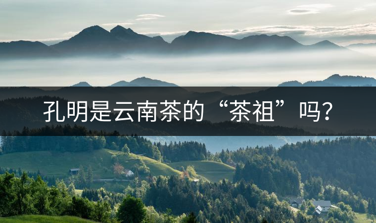 孔明是云南茶的“茶祖”嗎？