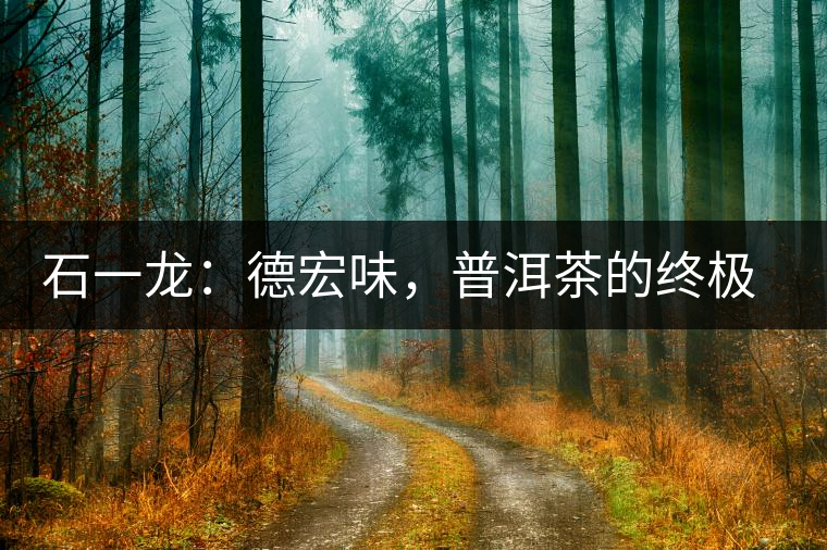 石一龍：德宏味，普洱茶的終極意境