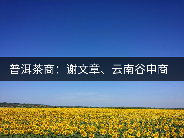 普洱茶商：謝文章、云南谷申商貿有限公司總經理