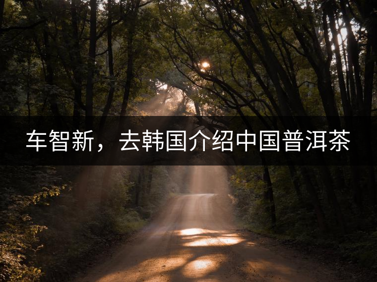 車智新，去韓國介紹中國普洱茶