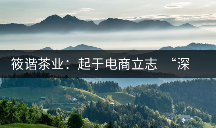 筱諧茶業(yè)：起于電商立志  “深扎”于茶行業(yè)