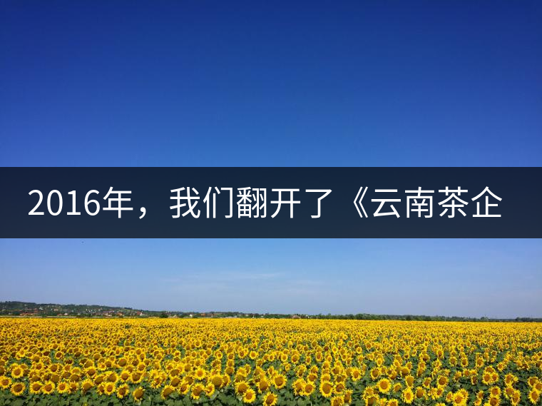 2016年，我們翻開了《云南茶企發(fā)展白皮書》