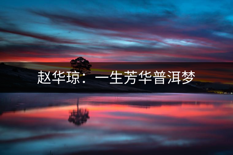 趙華瓊:一生芳華普洱夢(mèng) 趙華瓊:一生芳華普洱夢(mèng)