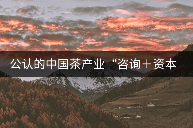 公認的中國茶產(chǎn)業(yè)“咨詢＋資本”第一人：蔣同