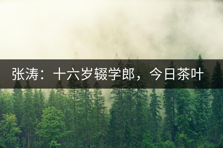 張濤：十六歲輟學(xué)郎，今日茶葉中堅(jiān)