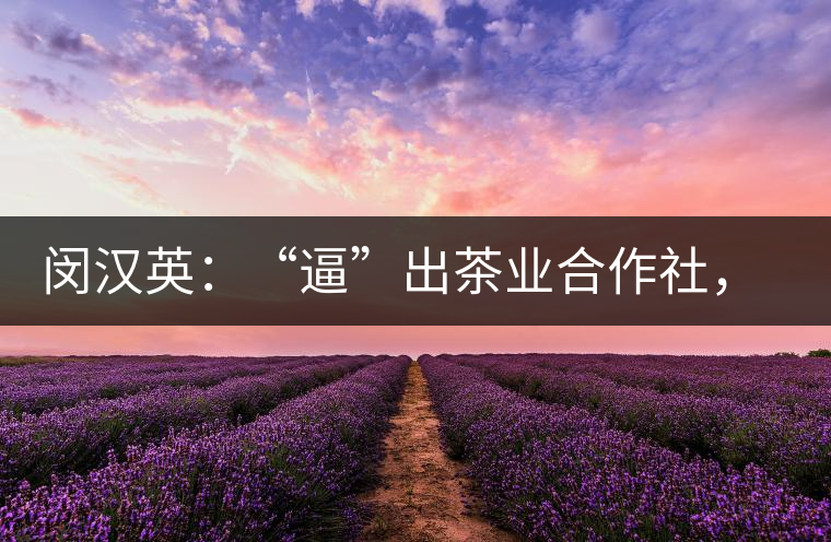 閔漢英：“逼”出茶業(yè)合作社，帶領(lǐng)村民走上致富路