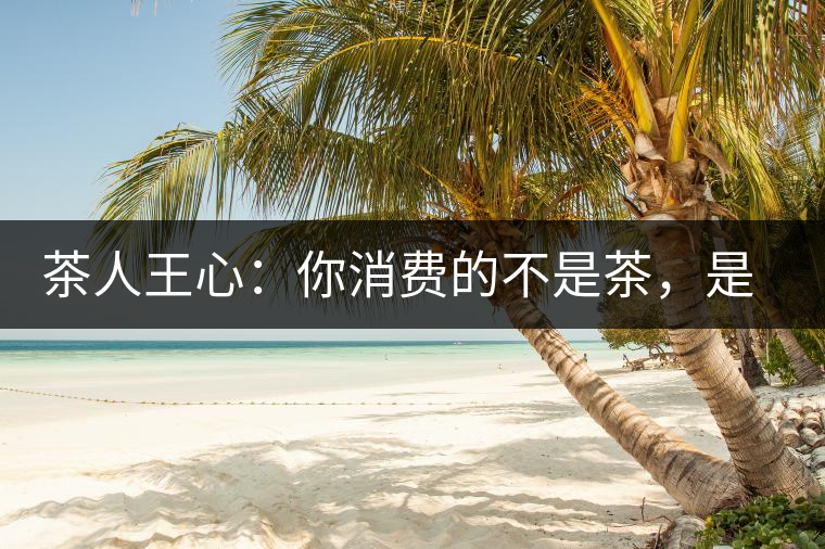 茶人王心：你消費(fèi)的不是茶，是我