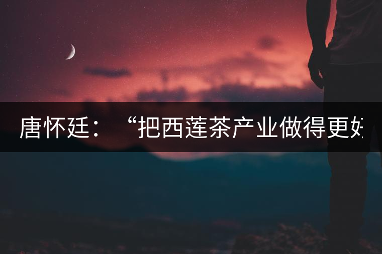 唐懷廷:“把西蓮茶產(chǎn)業(yè)做得更好” 唐懷廷:“把西蓮茶產(chǎn)業(yè)做得更好”
