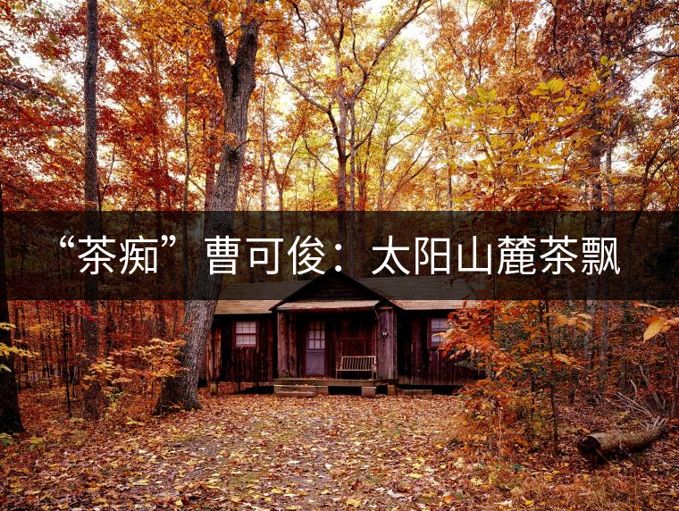 “茶癡”曹可?。禾柹铰床栾h香，清明時(shí)節(jié)采茶忙