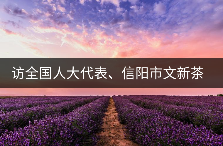 訪全國人大代表、信陽市文新茶葉有限責(zé)任公司董事長劉文新