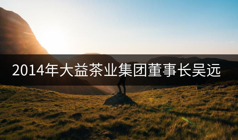 2014年大益茶業(yè)集團(tuán)董事長(zhǎng)吳遠(yuǎn)之訪談