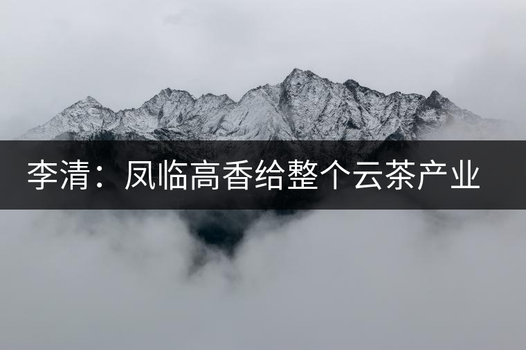 李清：鳳臨高香給整個云茶產業(yè)做廣告