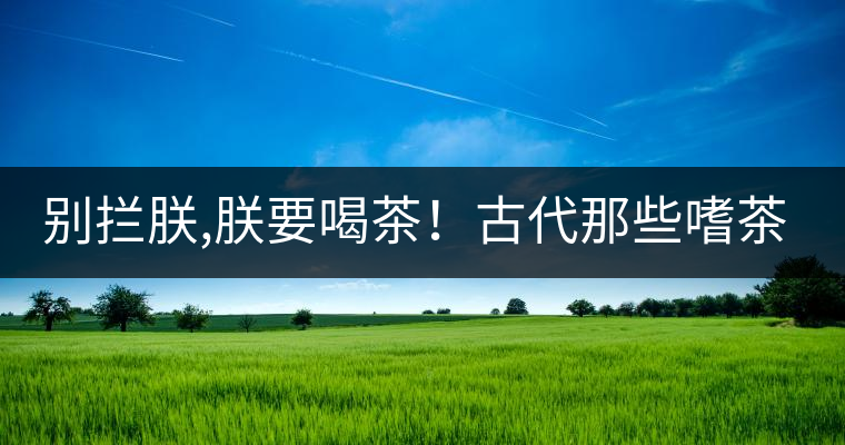 別攔朕,朕要喝茶！古代那些嗜茶如命的皇帝