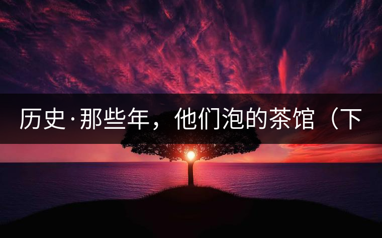 歷史·那些年，他們泡的茶館（下）