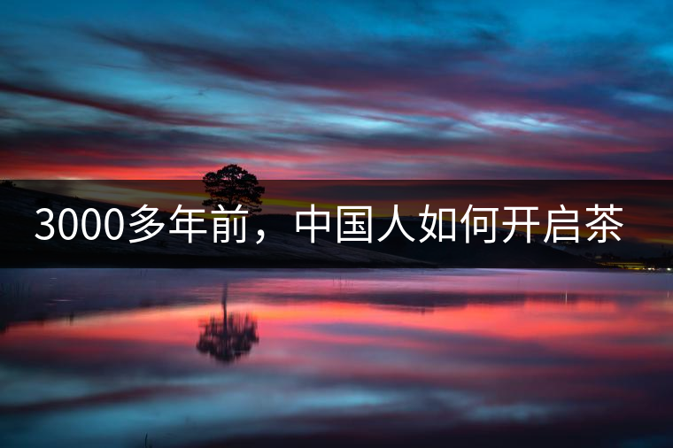 3000多年前，中國人如何開啟茶生活？