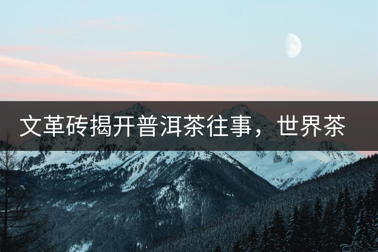 文革磚揭開普洱茶往事，世界茶文化交流協(xié)會成員共品經(jīng)典文革磚！