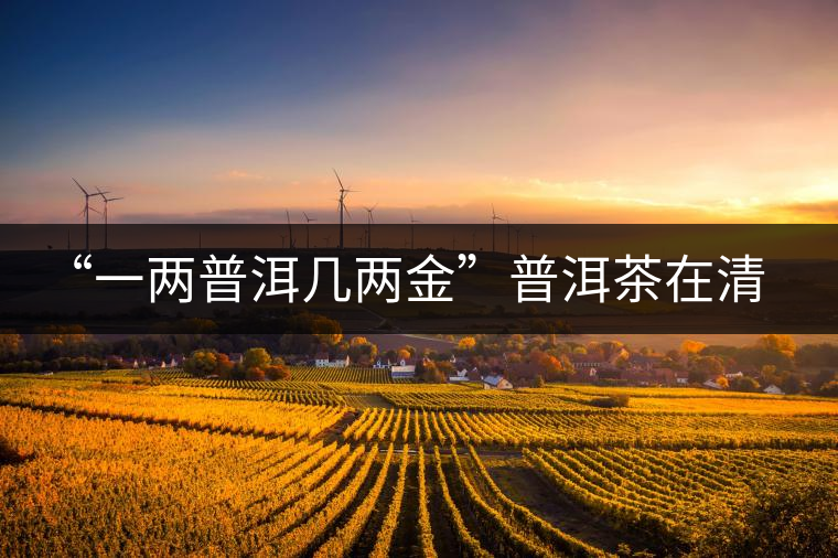 “一兩普洱幾兩金”普洱茶在清代為啥這么火？！