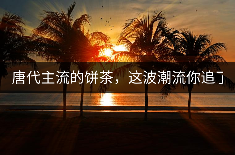 唐代主流的餅茶，這波潮流你追了嗎？