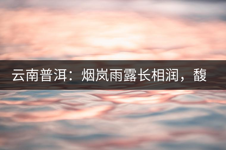 云南普洱：煙嵐雨露長相潤，馥郁芳香久久留