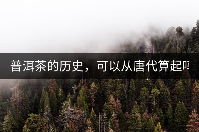 普洱茶的歷史，可以從唐代算起嗎？