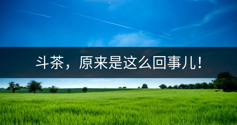 斗茶，原來是這么回事兒！