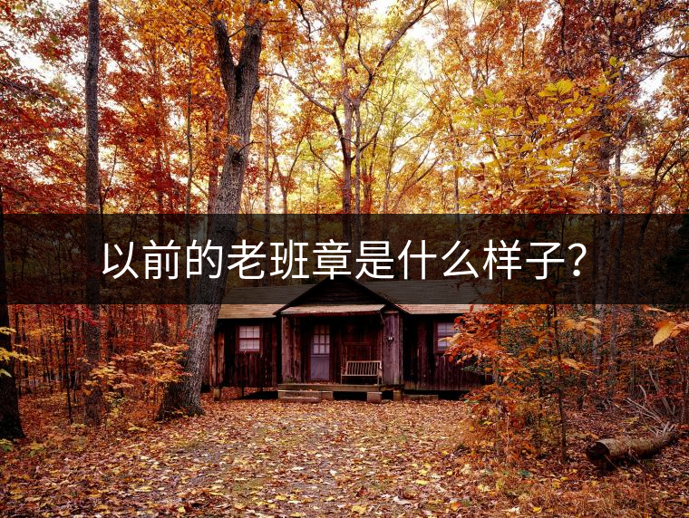 以前的老班章是什么樣子？