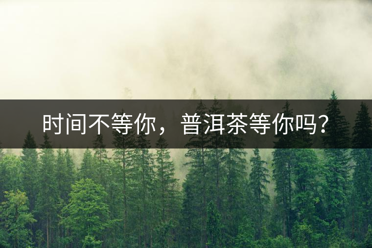 時間不等你，普洱茶等你嗎？