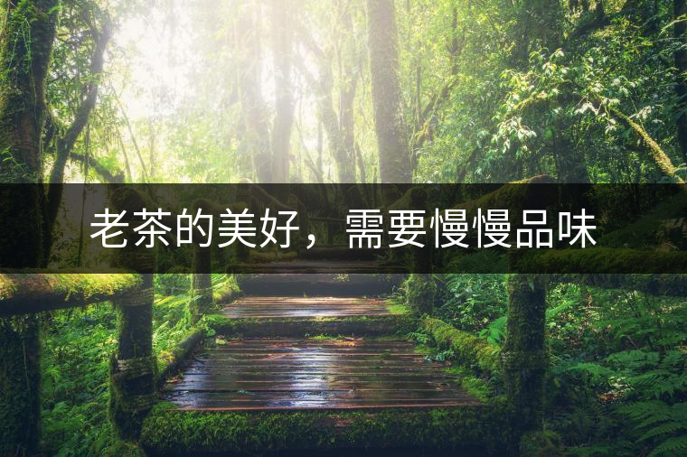 老茶的美好，需要慢慢品味