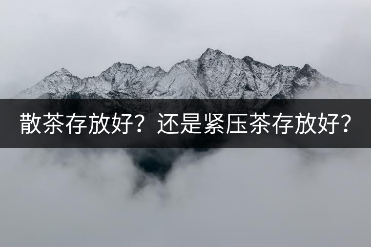 散茶存放好？還是緊壓茶存放好？
