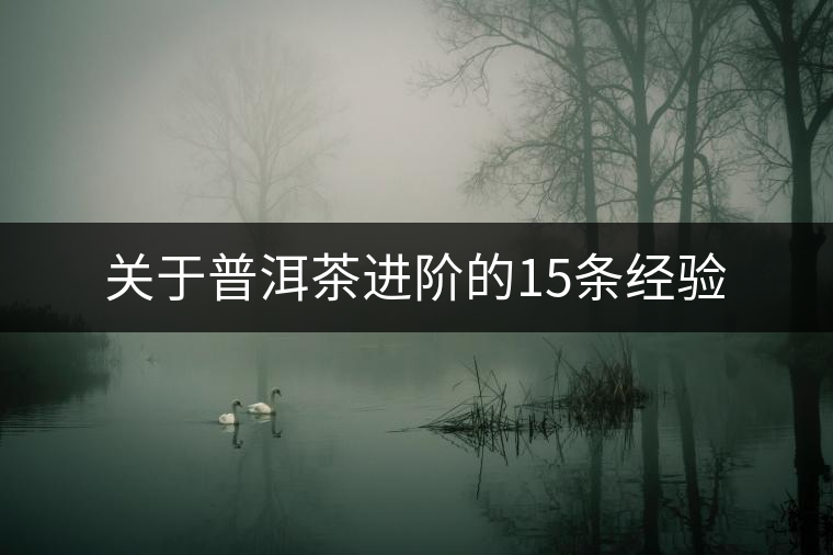 關(guān)于普洱茶進階的15條經(jīng)驗