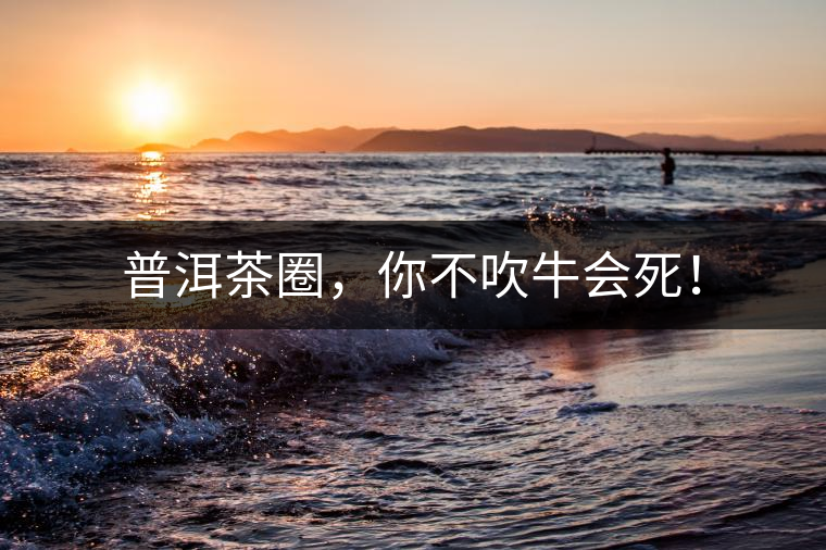 普洱茶圈，你不吹牛會死！