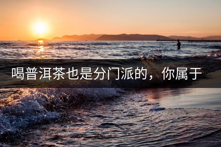 喝普洱茶也是分門派的，你屬于哪派呢？