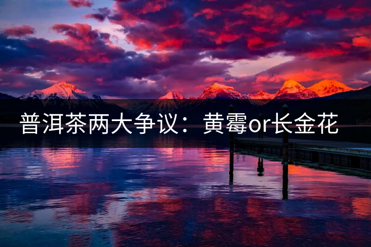 普洱茶兩大爭議：黃霉or長金花，生蟲or蟲屎茶