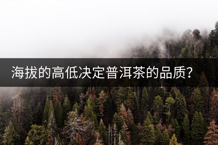海拔的高低決定普洱茶的品質(zhì)？【附：名山頭茶海拔表】