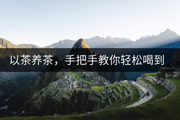 以茶養(yǎng)茶，手把手教你輕松喝到好普洱茶