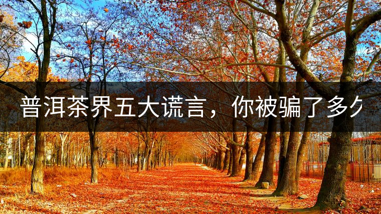 普洱茶界五大謊言，你被騙了多久？