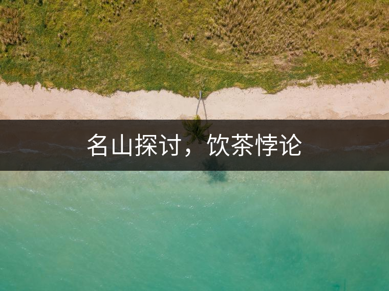 名山探討，飲茶悖論
