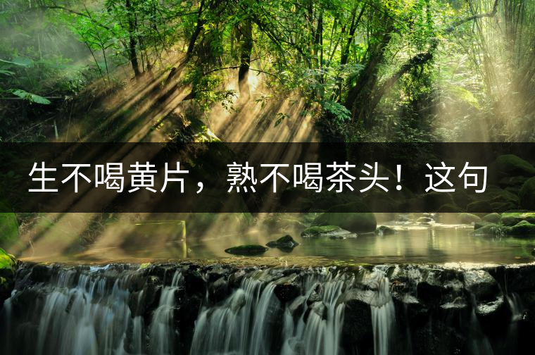 生不喝黃片，熟不喝茶頭！這句話你了解多少？