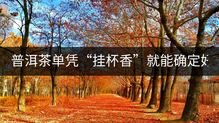 普洱茶單憑“掛杯香”就能確定好壞？you錯(cuò)了！