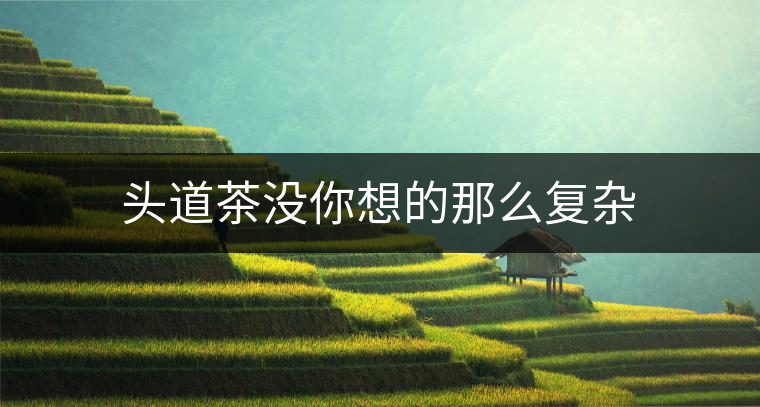 頭道茶沒(méi)你想的那么復(fù)雜