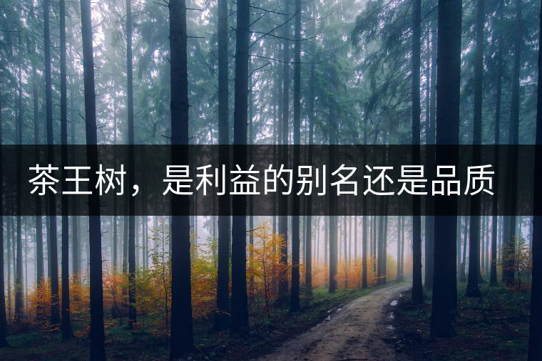 茶王樹，是利益的別名還是品質(zhì)的象征？